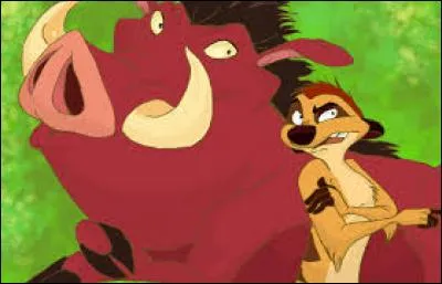 Quelles relations ont Timon et Pumba ?
