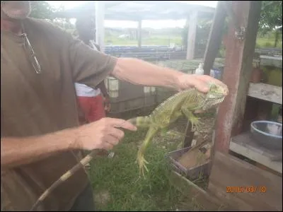 Vis à la campagne pour toi ...
