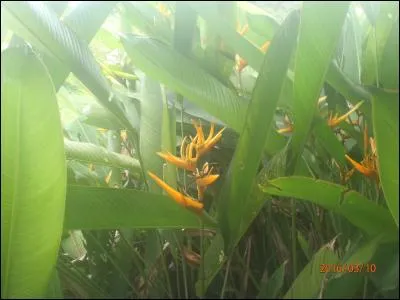 Ah l'amour : Je trouvais ma vie trop simple ...