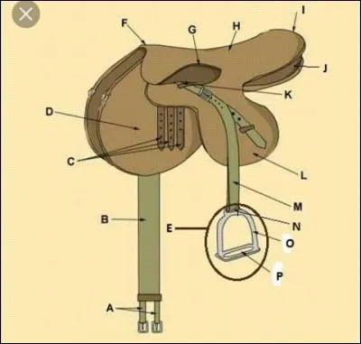 Quel est le nom de la partie L ?