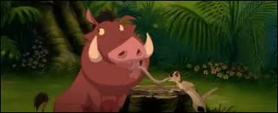 Qui sont Timon et Pumba ?