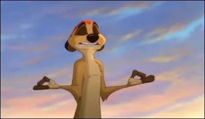 Que dit Sarabi à Timon ?