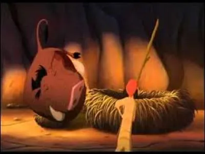 Pourquoi Timon et Pumba changent-ils de maison ?