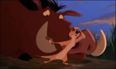 Où veut vivre Timon en 1er ?