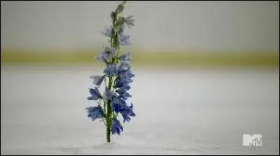 Qui sont les chasseurs ?