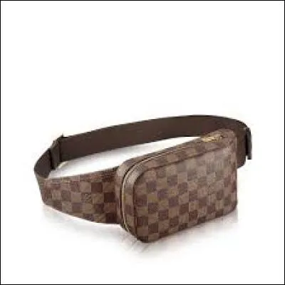 Même avec le modèle de chez "Louwis Vouitton", vous aurez toujours l'air d'un touriste !