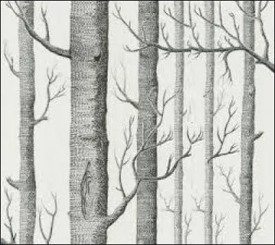 Vous savez compter, alors trouvez le fruit !