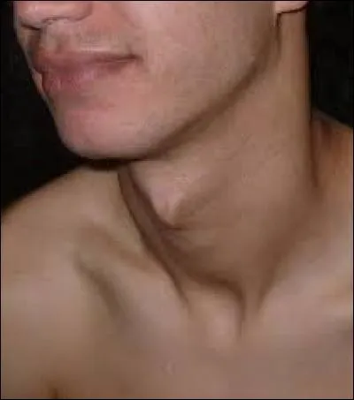 Celle-là, elle est cadeau ! 
Si vous ne trouvez pas, je l'aurais en travers de la gorge...