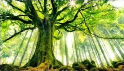 Quel gouvernement Henri Avril a-t-il connu ?