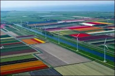 Parmi ces métiers, lequel associe-t-on à Yola d'Avril ?