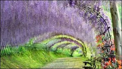 Comment dit-on « avril » en anglais ?