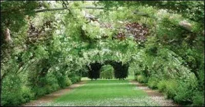 De quel terme latin le mot « avril » vient-il ?