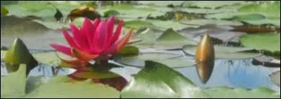 À quelle déesse ce mois serait-il dédié ?