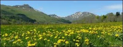 Dans quelle ville trouve-t-on le siège du groupe Avril ?