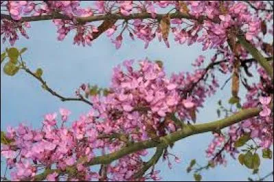 « Avril » est une marque de cosmétiques qui se veut :