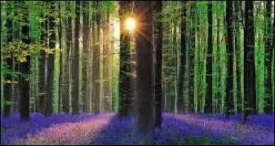 Quel est le véritable nom de celui qu'on surnomme « Avril » ?