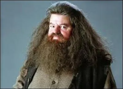 Qui est en retenue avec Hagrid dans la foret interdite ?