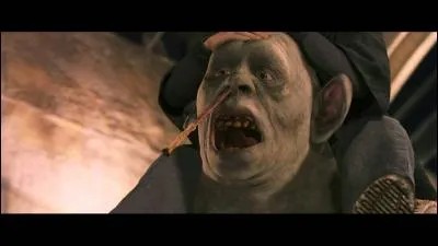 Où Harry et Ron enferment-ils le troll ?