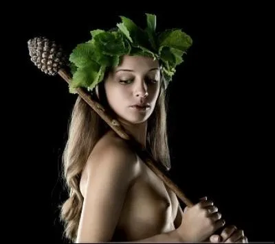 Elles accompagnent partout Dionysos le dieu grec de l'extase. Qui sont-elles ?