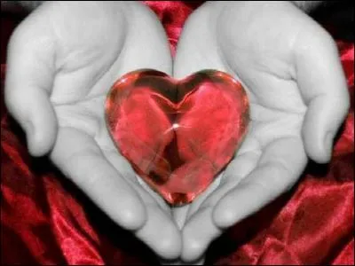 Comment se nomme cette infection de l'enveloppe qui entoure le coeur ?