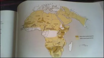 Combien en restait-il au début du XXe siècle ?