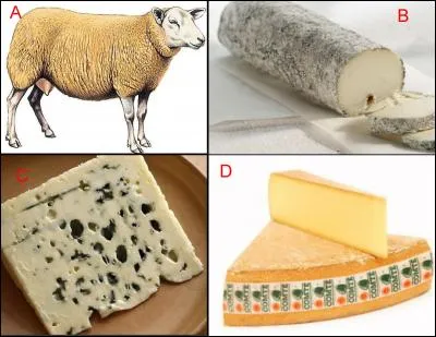 L'illustration nomm&eacute;e &laquo; A &raquo; est en lien &eacute;troit avec l'illustration repr&eacute;sent&eacute;e en : (Indice : Charles VI)