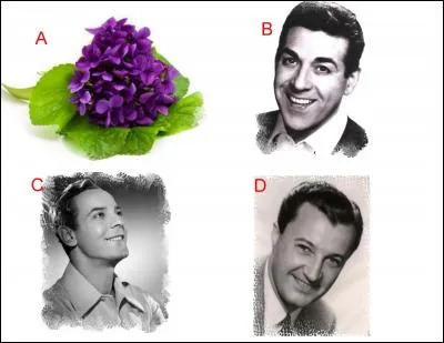 L'illustration nomm&eacute;e &laquo; A &raquo; est en lien &eacute;troit avec l'illustration repr&eacute;sent&eacute;e en : (Indice : op&eacute;rette)