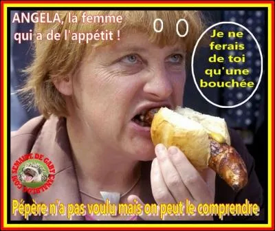 Wim Wenders est-il de nationalité :