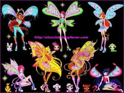 Quelle Winx voit les Sorciers en premier?
