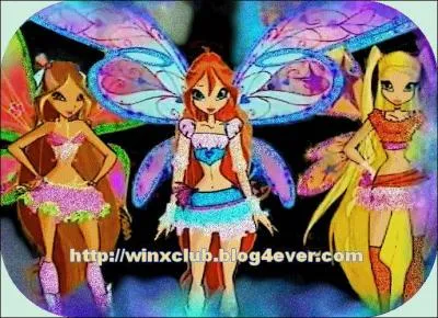 Qu'est-ce que le 'Zoomix'?