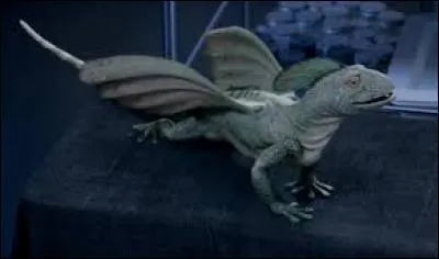 De quoi fait-il partie ?