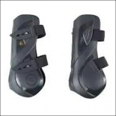 Quelles sont ces protections ?