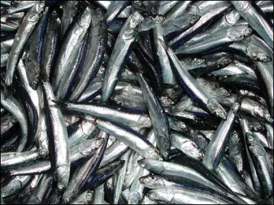 Il passe très bien dans nos petits plats. Quel est ce poisson ?