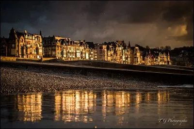 1898-1936. Une plaque commémorative est apposée sur la maison natale de cet illustre écrivain et peintre né à Mers-les-Bains le 21-09-1898. Quel est ce personnage révélé aussi comme auteur du célèbre roman "l'Hôtel du Nord" ?