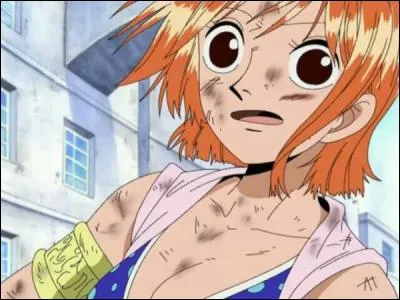 Quel(le) adversaire Nami n'a-t-elle pas combattu(e) ?