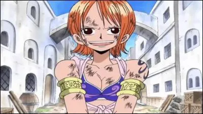 Quel est son fruit du démon ?