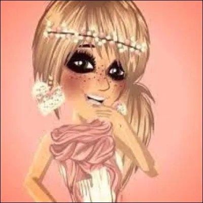 Qu'est-ce qui est changé pour les VIP en 2016 par rapport à 2009 ?