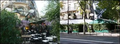 Si vous désirez voir les célébrités actuelles, cela sera difficile, peut-être que le nom de ce restaurant en est la raison.
Quel est ce restaurant ?