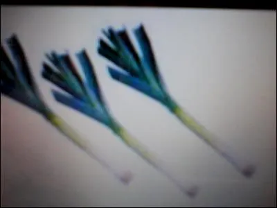 Un peu de cuisine : quel est ce légume ?