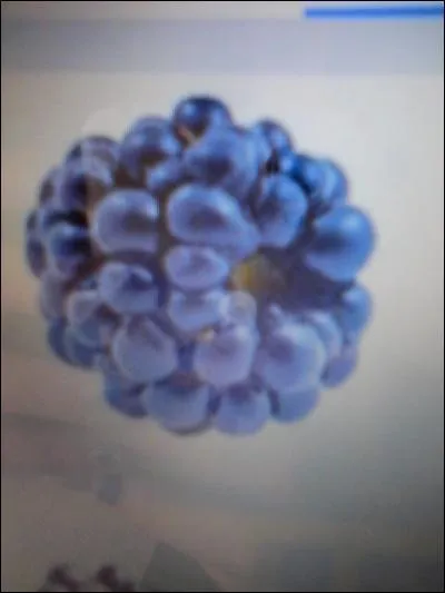 Un peu de cuisine : quel est ce fruit ?