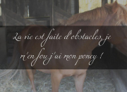 Quiz Galop 3 (partie 2)