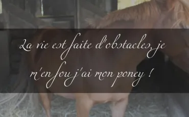 Quiz Galop 3