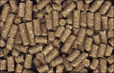 Dans quel ordre donne-t-on la nourriture ?