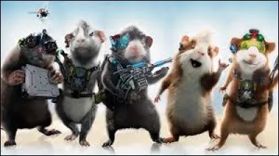 Quel est le nom de ce film ?