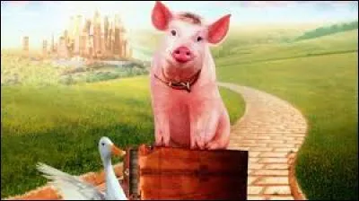 Quel est le nom de ce film ?