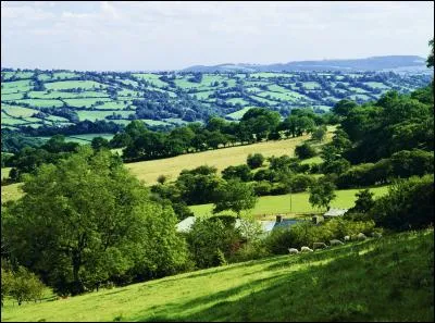 Eye est un village du Herefordshire. Où est-il situé ?