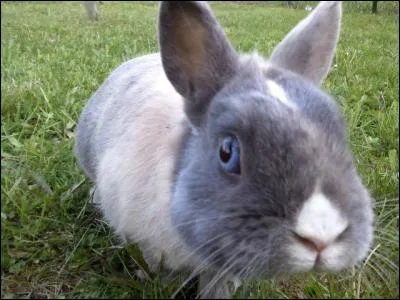 Quels sont les deux secteurs associés au métier ?