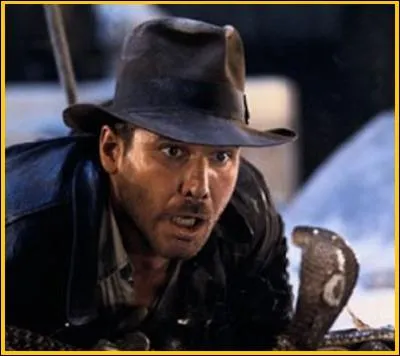 Langue française - Comment appelle-t-on la peur excessive des serpents ?