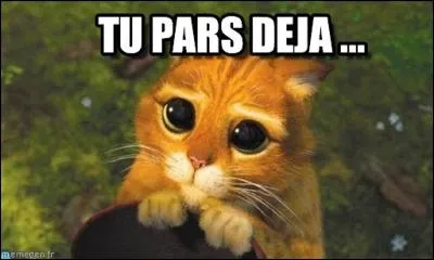 À qui doit-on la chanson "Puisque tu pars" ?