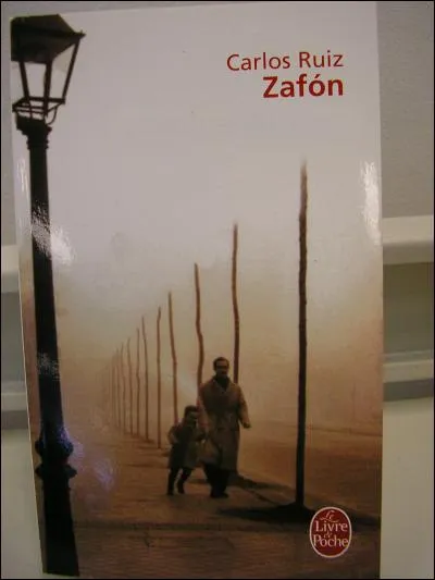 Quel est le titre de ce livre ?